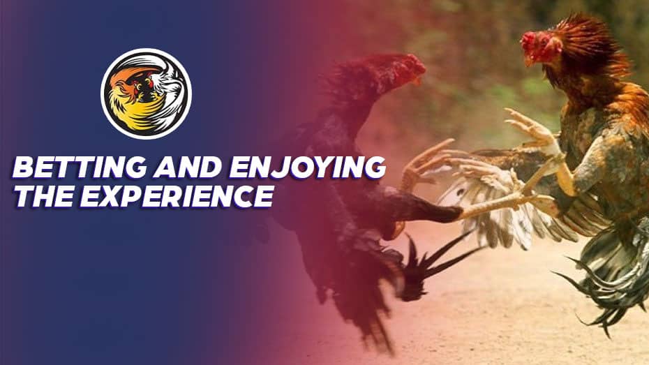 how to place a lucky 15 bet on bet365